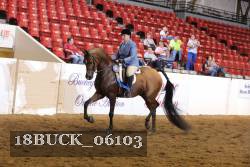 18BUCK_06103 proof