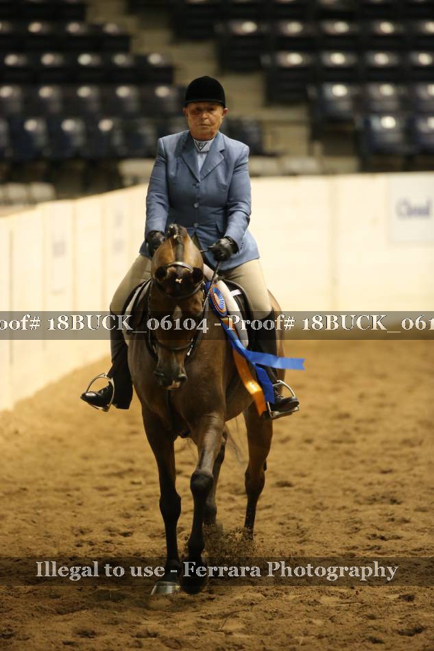 Proof 18BUCK_06104