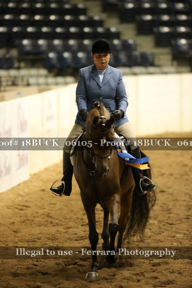 Proof 18BUCK_06105
