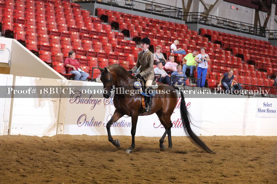 Proof 18BUCK_06106