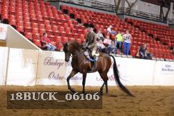 18BUCK_06106 proof