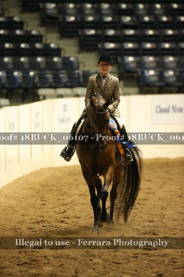 Proof 18BUCK_06107
