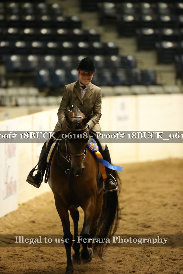 Proof 18BUCK_06108