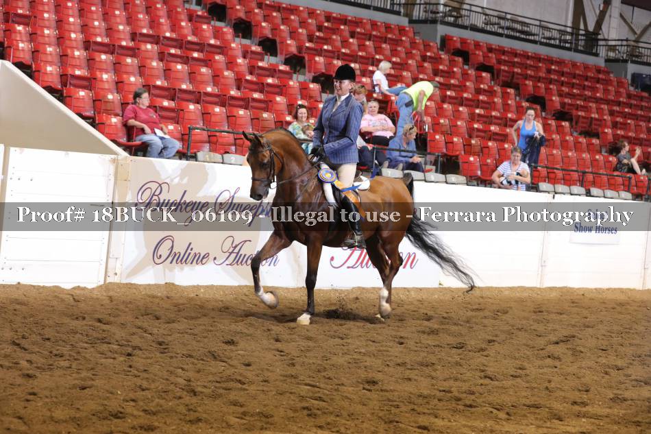 Proof 18BUCK_06109