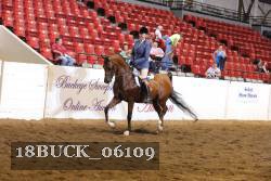 18BUCK_06109 proof