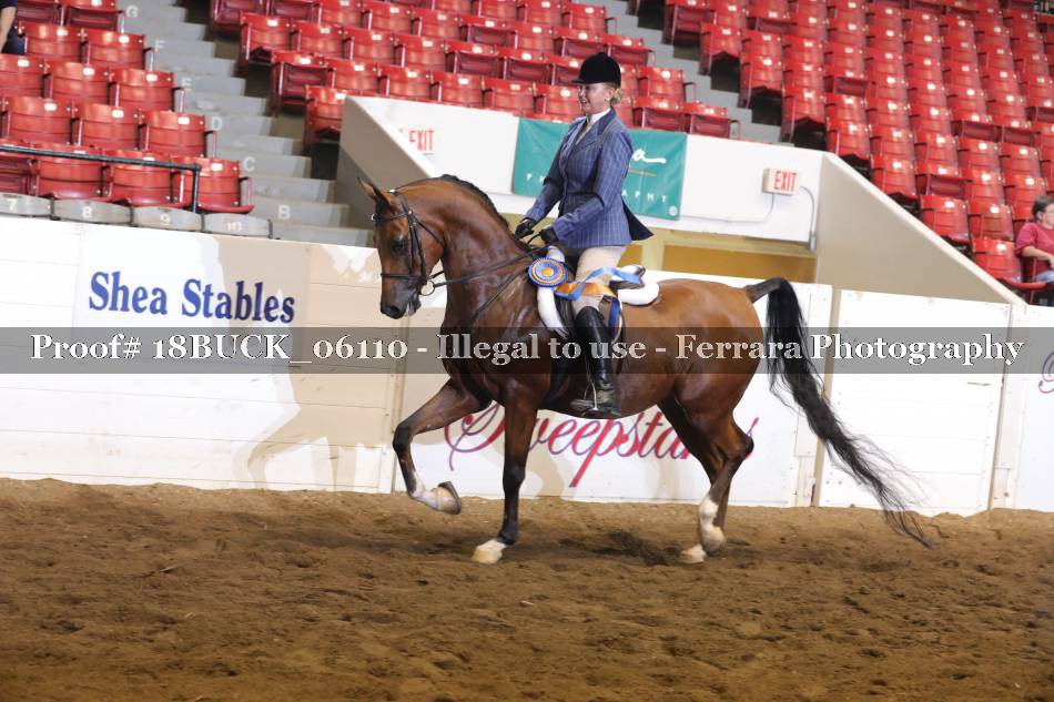 Proof 18BUCK_06110