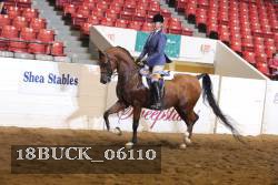 18BUCK_06110 proof