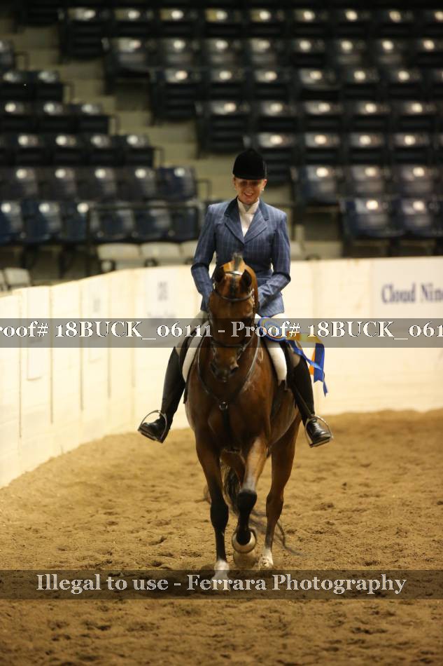 Proof 18BUCK_06111