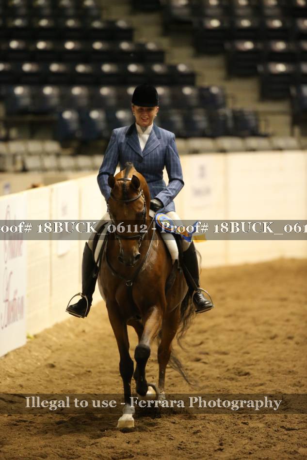 Proof 18BUCK_06112