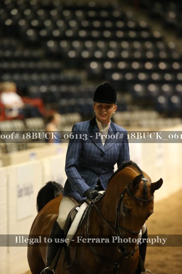 Proof 18BUCK_06113