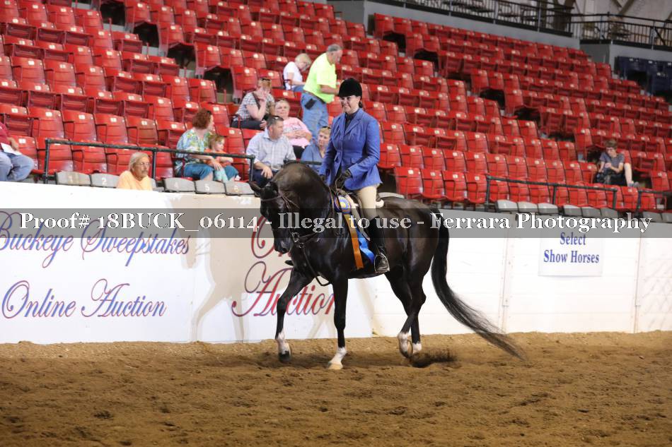 Proof 18BUCK_06114