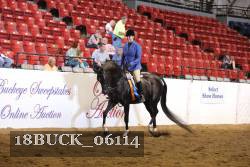 18BUCK_06114 proof