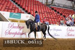 18BUCK_06115 proof