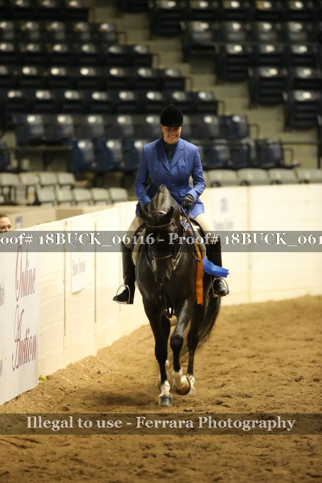 Proof 18BUCK_06116