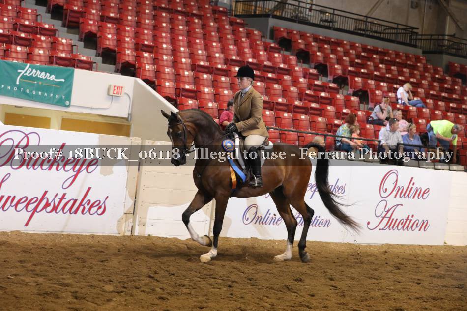 Proof 18BUCK_06118
