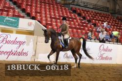 18BUCK_06118 proof