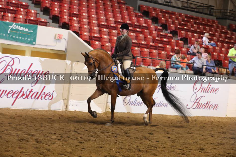 Proof 18BUCK_06119