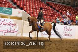 18BUCK_06119 proof