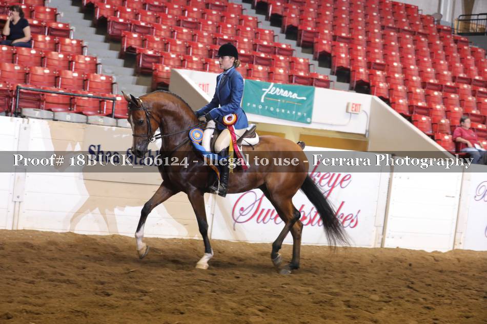 Proof 18BUCK_06124