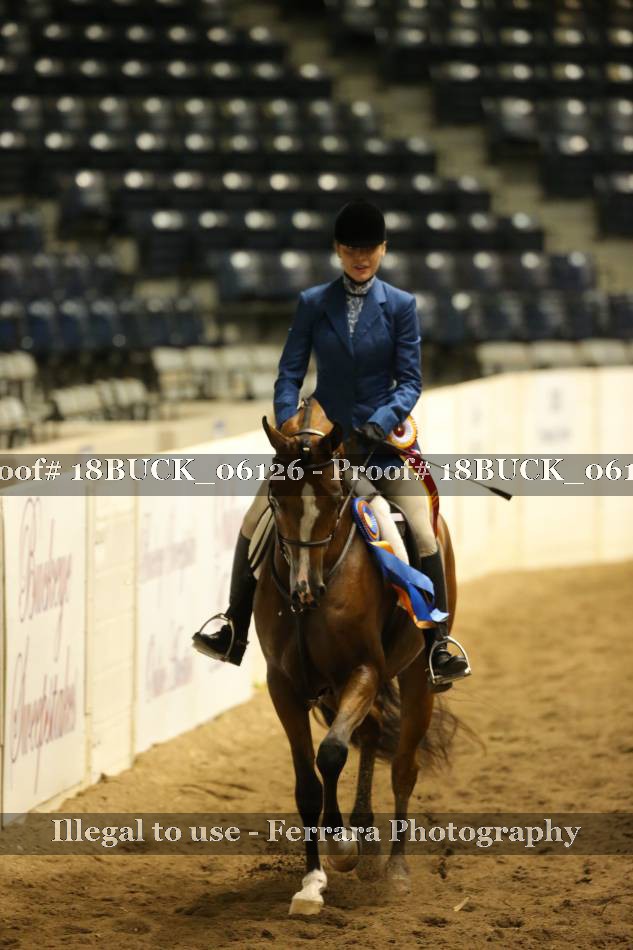 Proof 18BUCK_06126