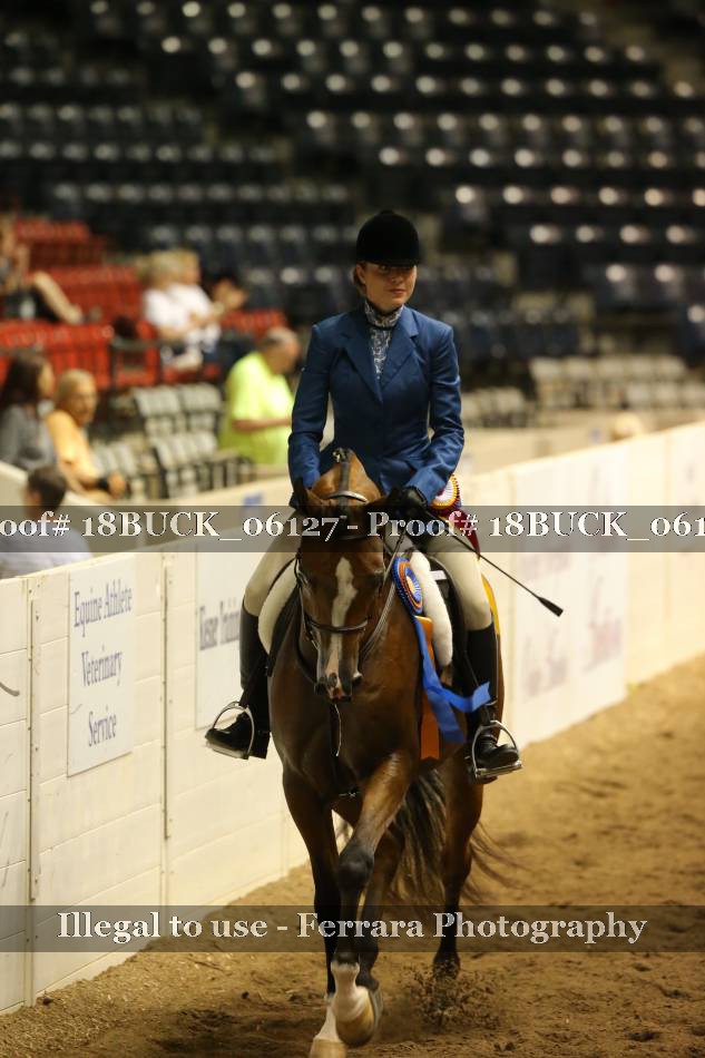 Proof 18BUCK_06127