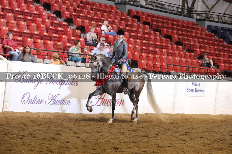 Proof 18BUCK_06128