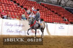 18BUCK_06128 proof
