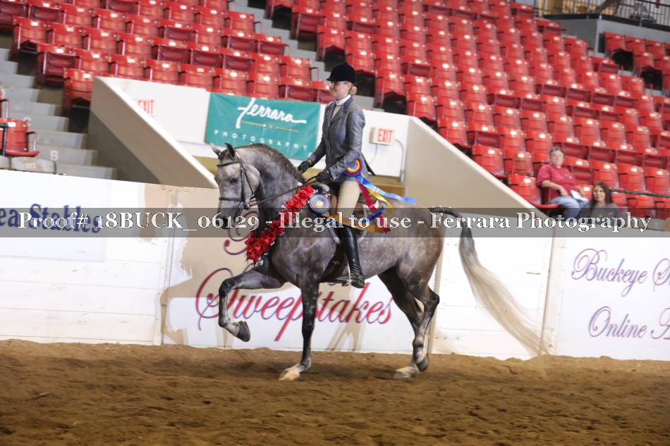 Proof 18BUCK_06129