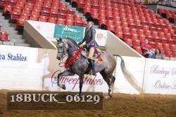 18BUCK_06129 proof