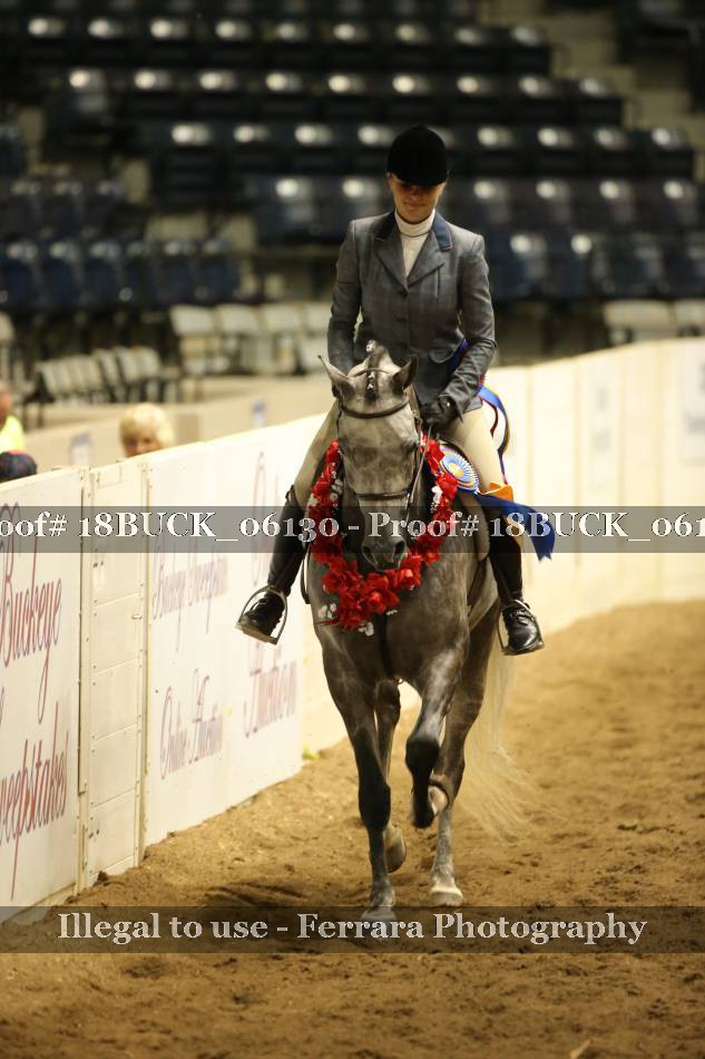 Proof 18BUCK_06130
