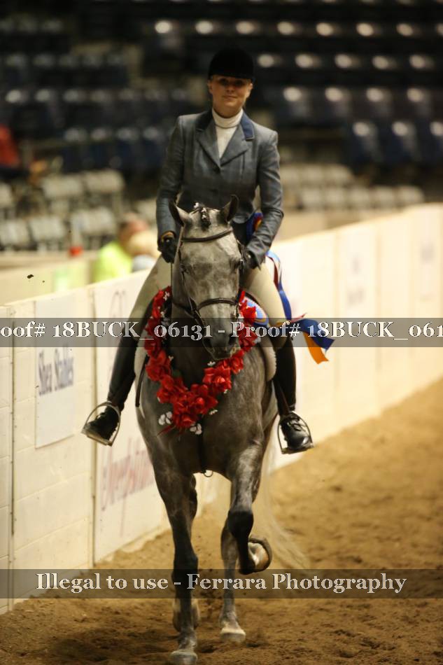 Proof 18BUCK_06131