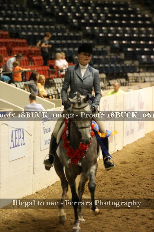 Proof 18BUCK_06132