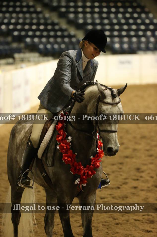 Proof 18BUCK_06133