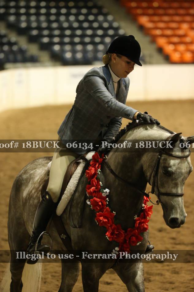 Proof 18BUCK_06134