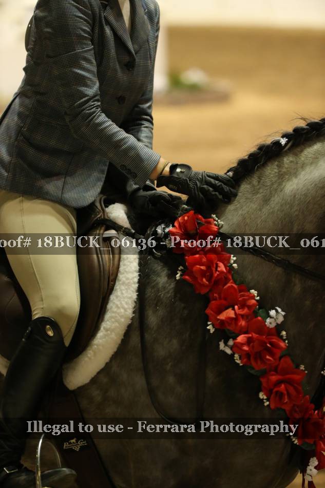 Proof 18BUCK_06136
