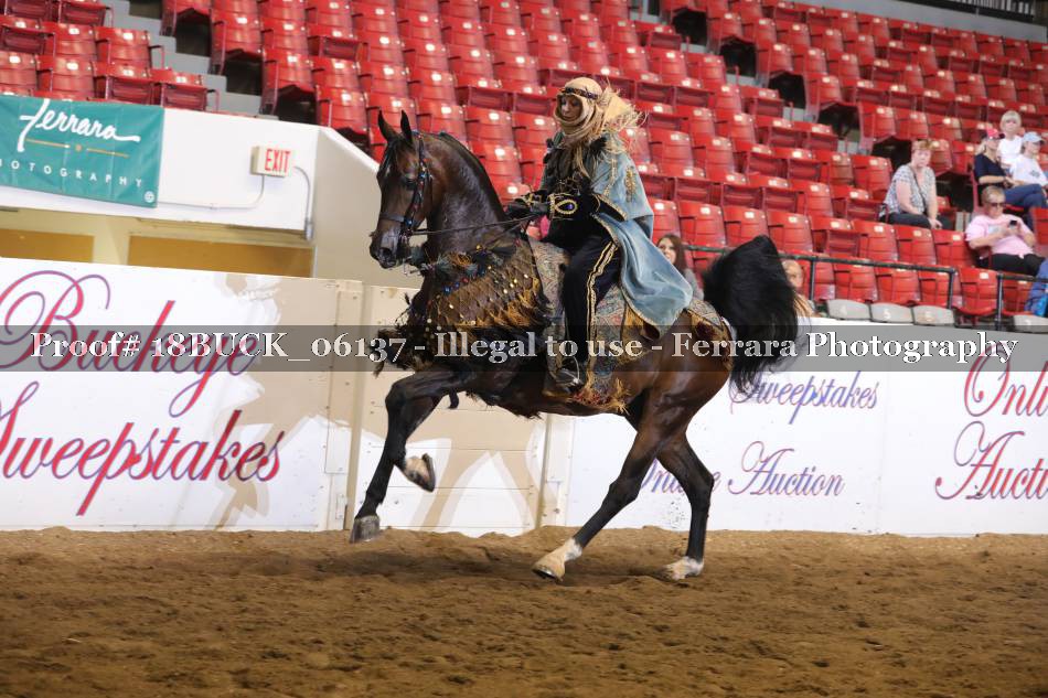 Proof 18BUCK_06137