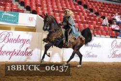 18BUCK_06137 proof