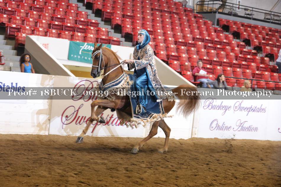 Proof 18BUCK_06139