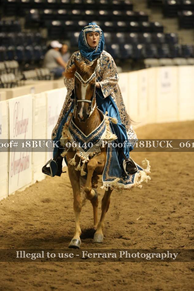 Proof 18BUCK_06140