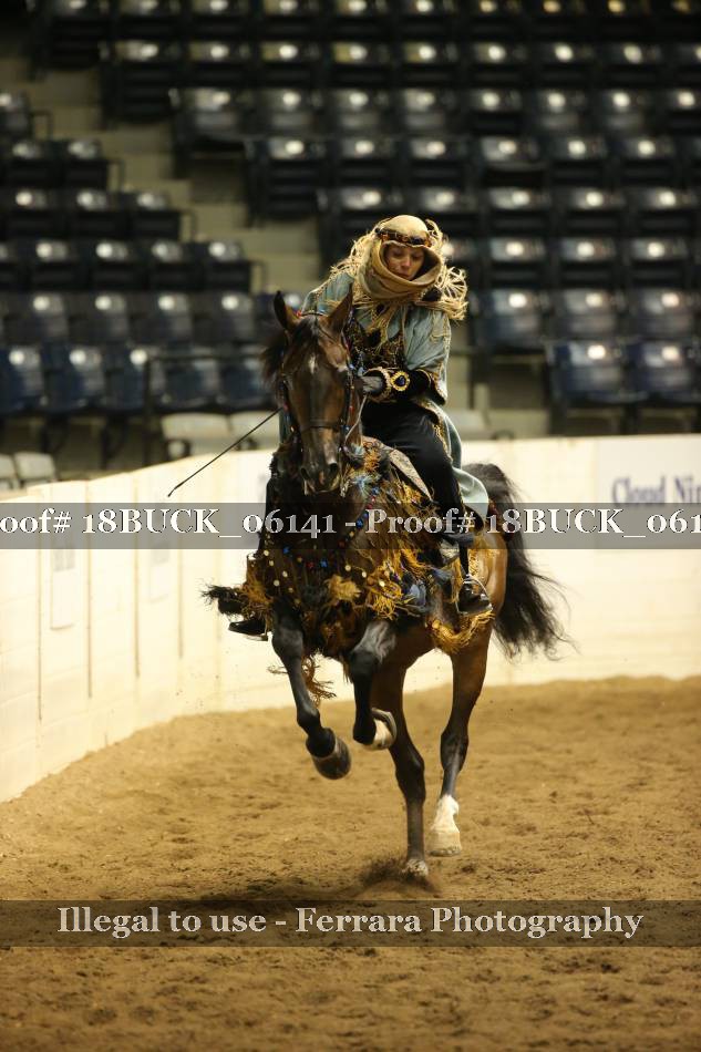 Proof 18BUCK_06141
