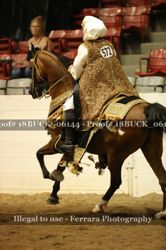Proof 18BUCK_06144