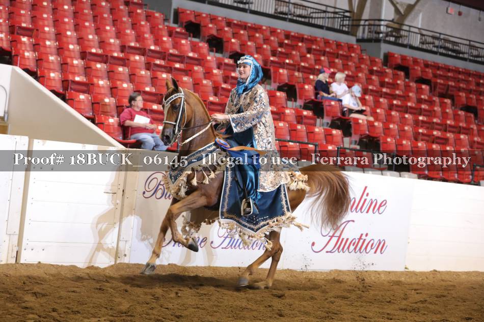 Proof 18BUCK_06145