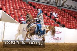 18BUCK_06145 proof