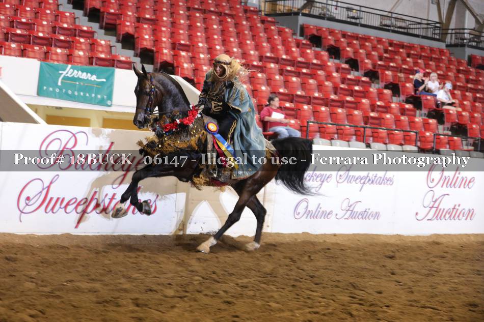 Proof 18BUCK_06147