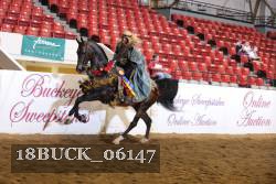 18BUCK_06147 proof