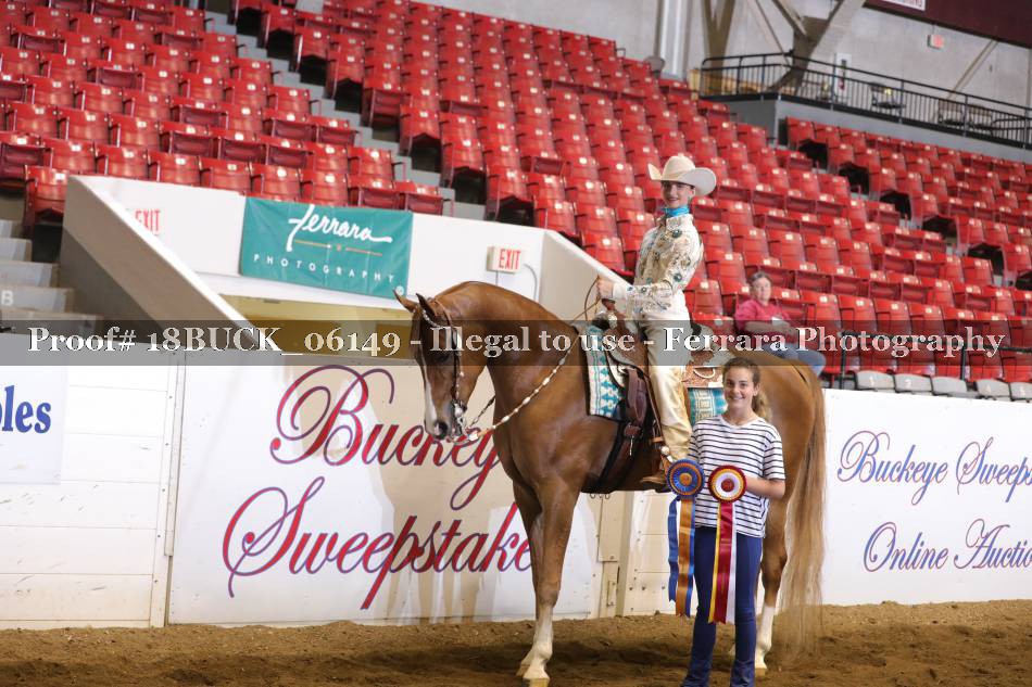 Proof 18BUCK_06149