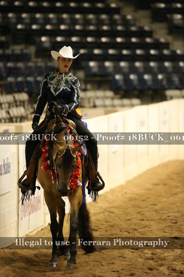 Proof 18BUCK_06152