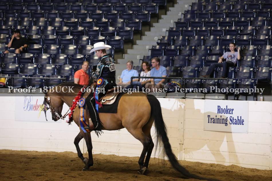 Proof 18BUCK_06154