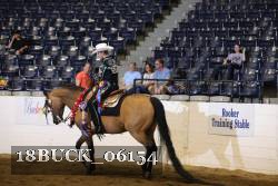 18BUCK_06154 proof