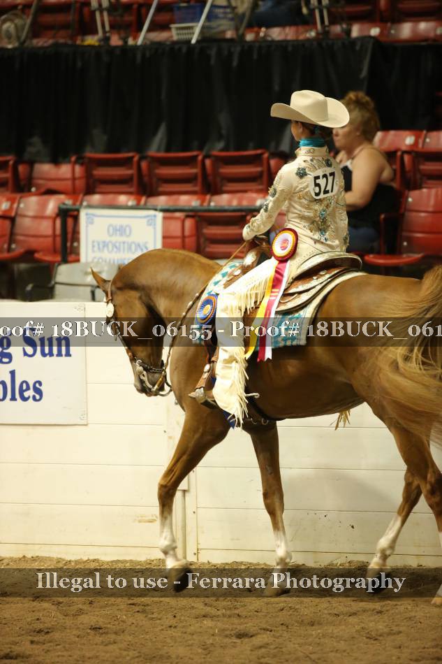 Proof 18BUCK_06155